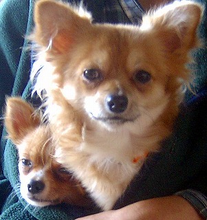 ２００５年１１月 173.jpg