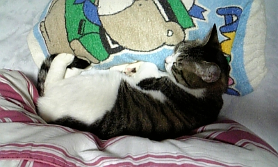 100406_091715.jpg