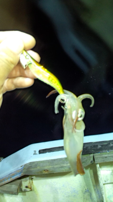 ナオリでマイカ♪