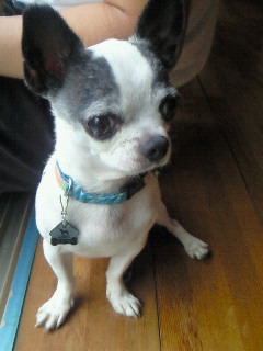 200809251543000.jpg