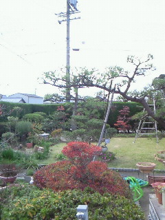 200811221456000.jpg