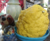 2010122215300000.jpg
