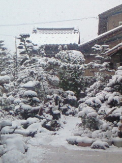 200802091359000.jpg