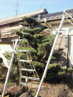 201011191452000.jpg