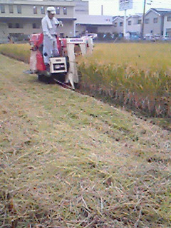 !cid_01@101020_185429@_____N06A3@docomo_ne.jpg