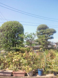 201009111039000.jpg