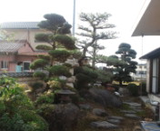 2010121215100000.jpg