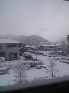 20061229snow.JPG