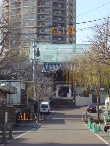 善福寺