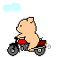 bike[1].gif