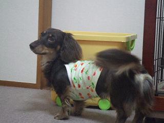 2007_06060060.jpg