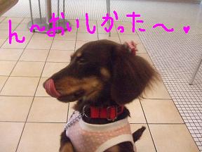 おいしかった～.jpg