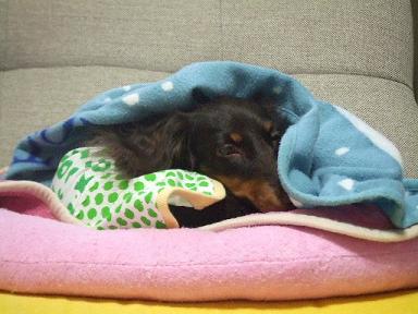 2007_11220064.jpg