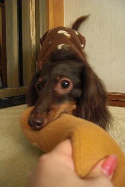 PICT00012.JPG