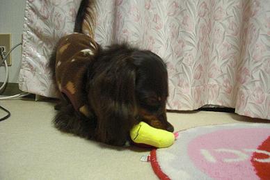 PICT0003.JPG