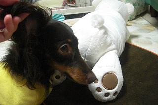 PICT0004.JPG