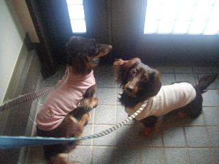 2008_03290058.jpg
