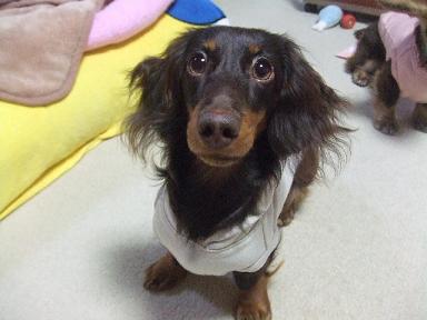 2008_01180010.jpg
