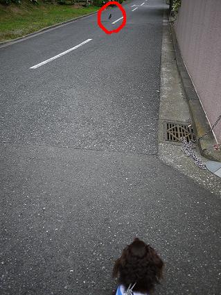 P1000531.JPG