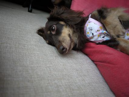 P1000576.JPG