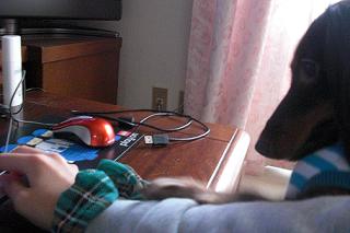 PICT0001.JPG