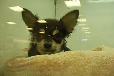 PICT0019.JPG