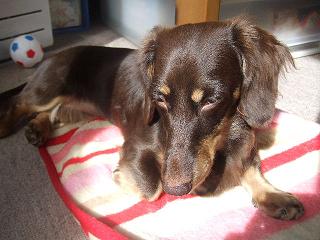 2006_10070040.jpg