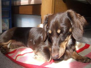 2006_10070041.jpg