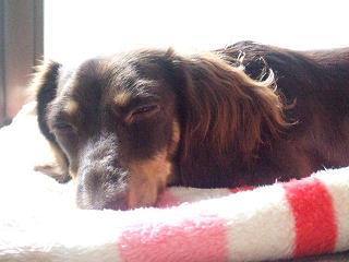 2006_10070043.jpg
