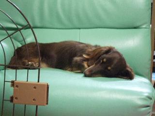 2007_07010061.jpg