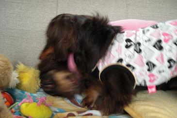 PICT0001.JPG