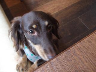 2007_06240048.jpg