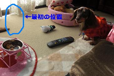 PICT0005.JPG