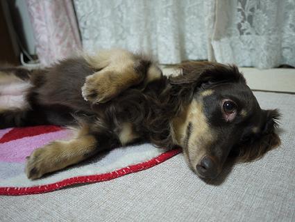 P1000457.JPG