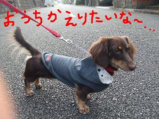 振り返り・・・.jpg