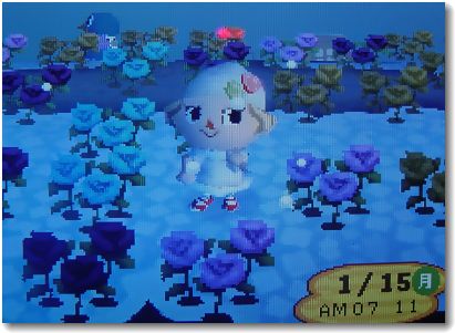 うれし～！≧▽≦