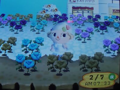 まってたよん！