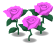 rose_pink.png