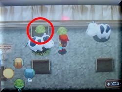 餌、置けるんですよ～！ｗ