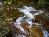 s-CIMG3957.jpg