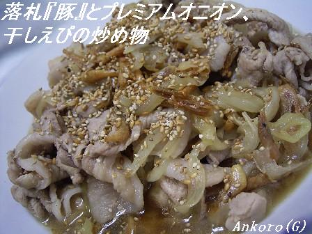 豚肉玉ねぎ干しえびの炒め物