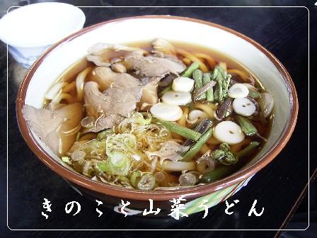 きのこ山菜うどん