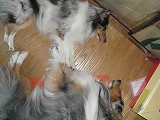 s-101MSD-DSC00286_DSC00286.jpg