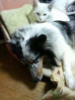 P1010037.JPG