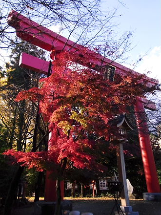 鳥居と紅葉