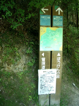IMGP4122.JPG
