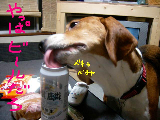 画像 011ビール.JPG