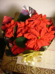 DSCF3378.JPG
