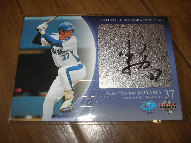 06 koyama