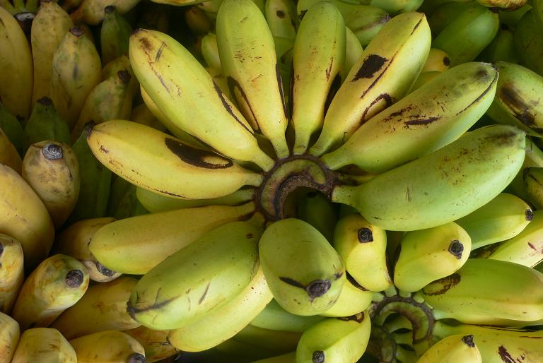 cairns market banana.JPG